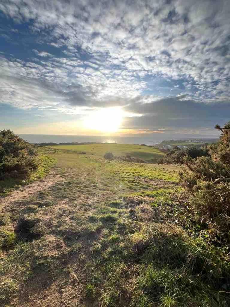 Fern Cottage Iden, Rye المظهر الخارجي الصورة